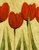 cuadros modernos "Tulipanes rojos I"
