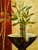cuadros modernos "Cuenco con bambú I"
