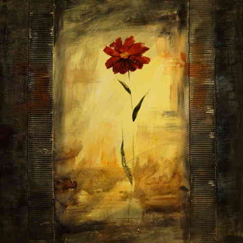 cuadros modernos "Flor roja sobre fondo negro"