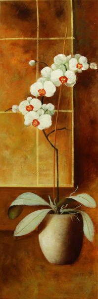 cuadros modernos "Maceta en flor I"