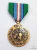 Medalla de la ONU (UNTAC)